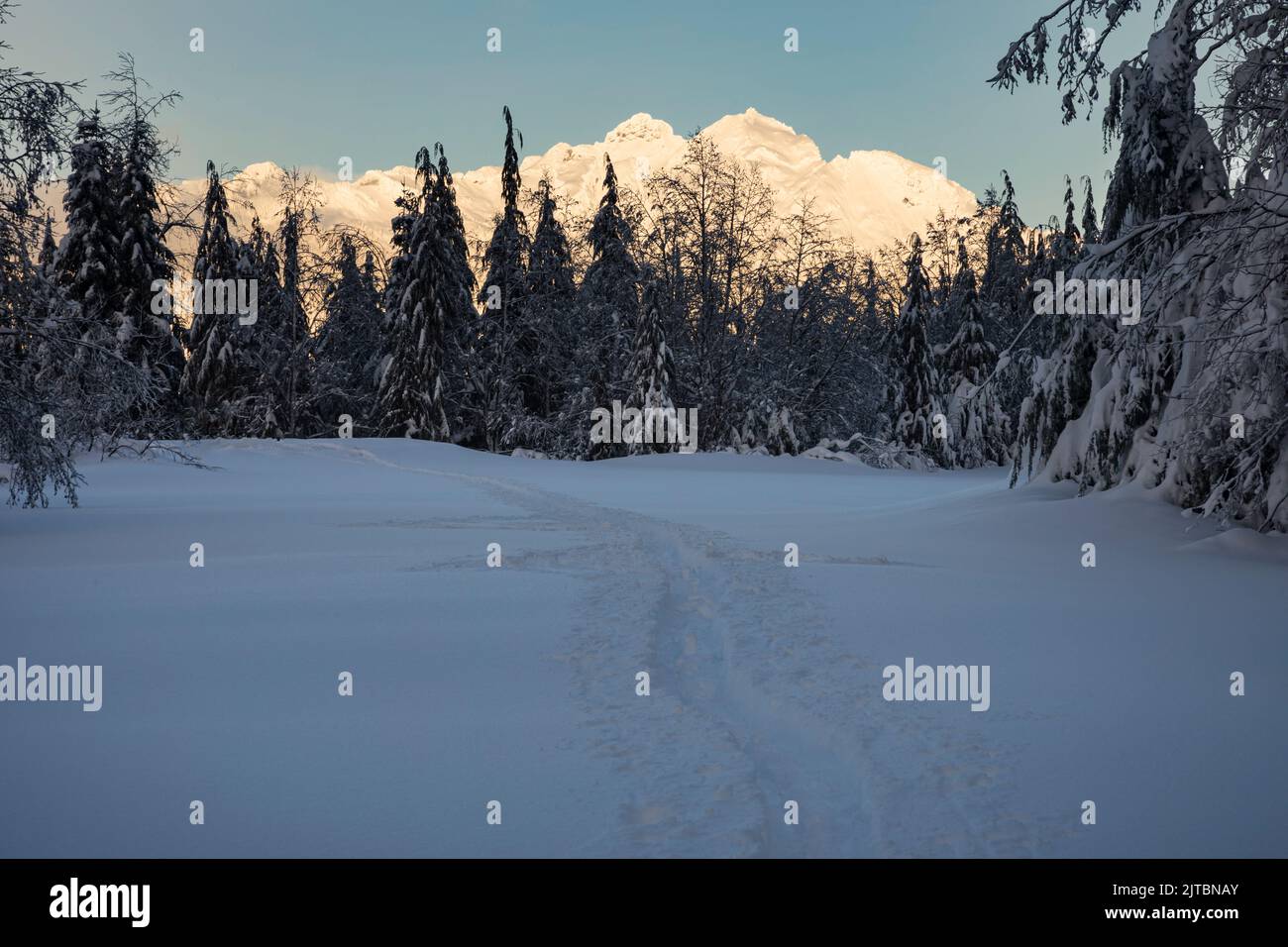 WA21886-00...WASHINGTON - Spätnachmittag, Winter, Blick vom schneebedeckten Parkplatz am Mount Pilchuck Trailhead im Mt Baker - Snoqualmie Stockfoto