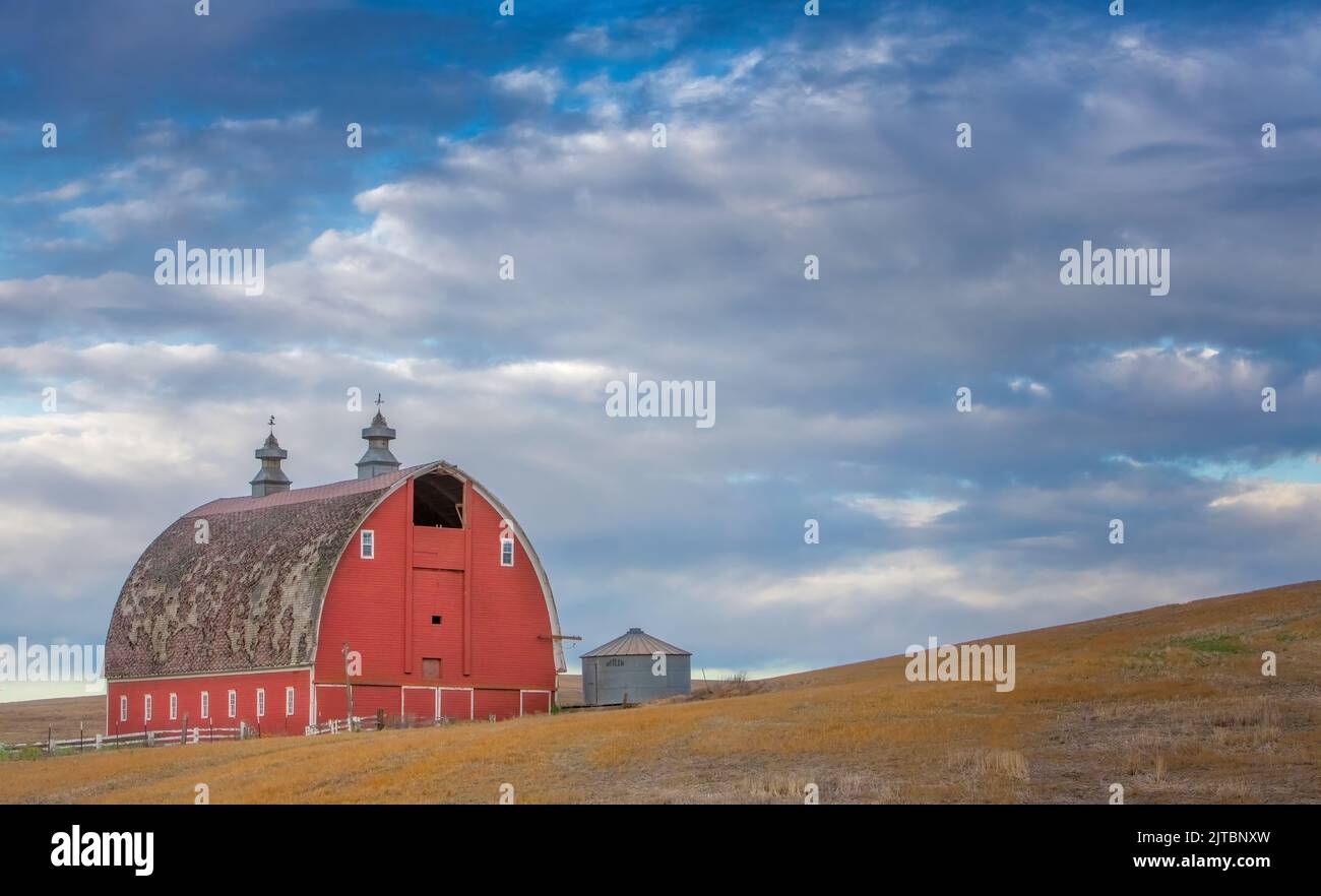 Der Palouse ist eine Region, die im südöstlichen Teil des Staates Washington liegt. Dieses fruchtbare Ackerland ist eine große landwirtschaftliche Nutzfläche prod Stockfoto