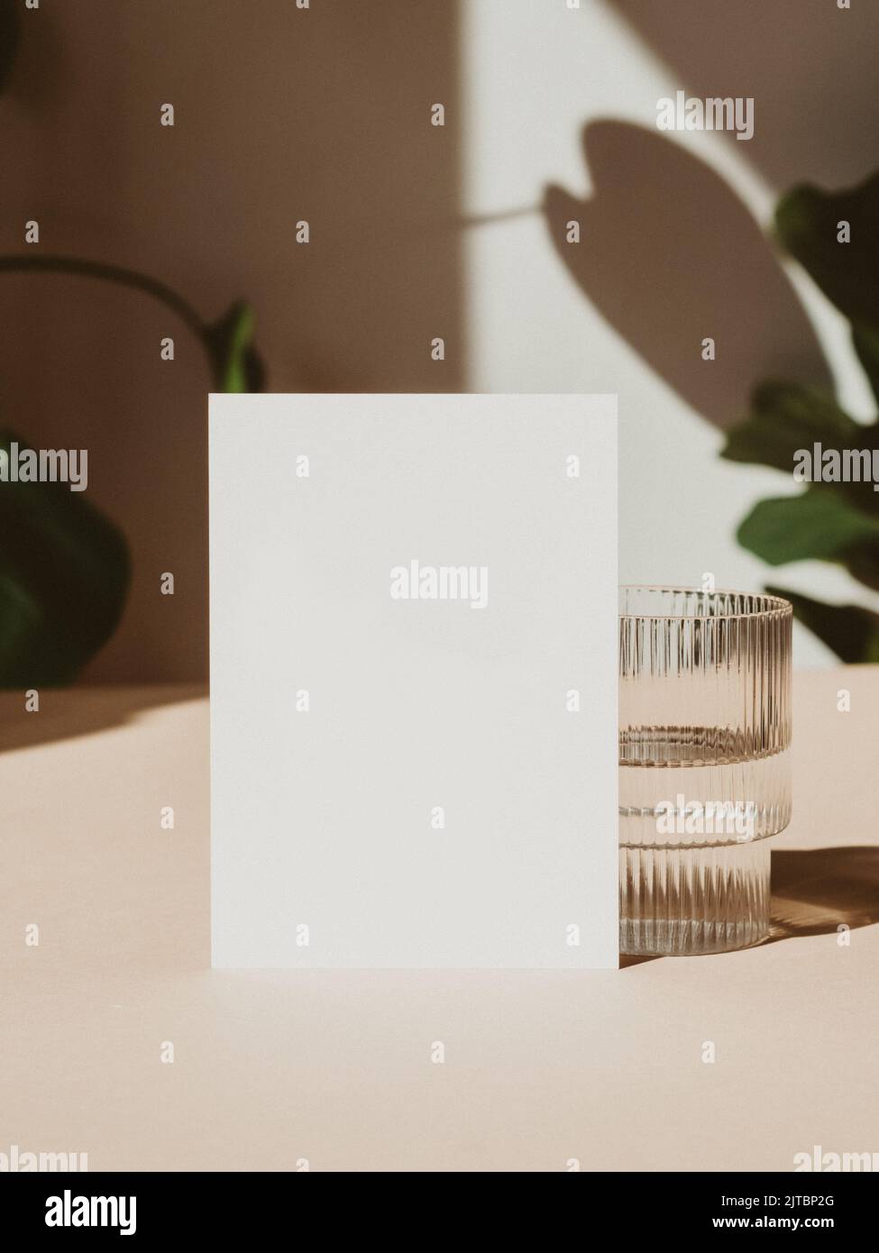 Leeres Papier Blatt Karten Mockup, Glas und Pflanzenschatten Vorderansicht. Speicherplatz kopieren. Flach Lay minimal Business Marke Vorlage neutrale Farbe. Kartenmodell. Stockfoto