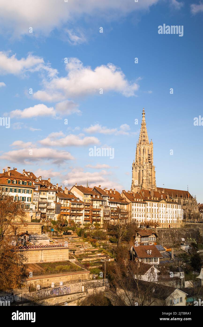 Reizvoller Blick auf den Berner Dom an einem sonnigen Tag, Schweiz Stockfoto