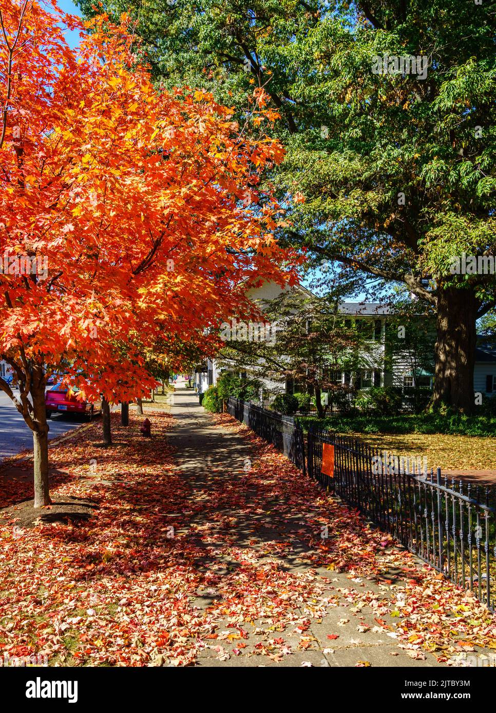 Farbenfrohe Herbstszene in Georgetown, Kentucky Stockfoto