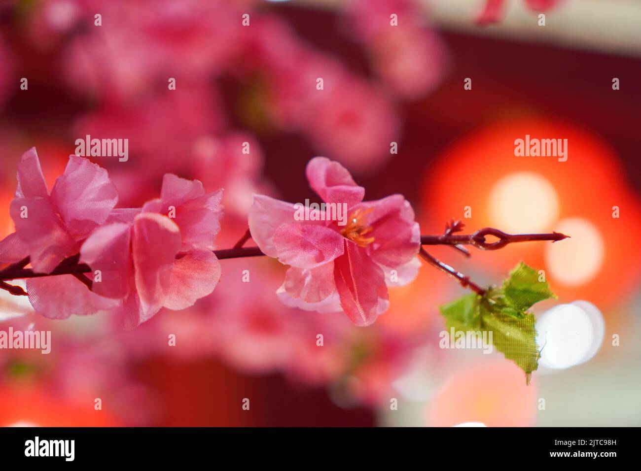 Eine Nahaufnahme einer gefälschten rosa Blütenpflaumenblume für eine chinesische Neujahrsdekoration Stockfoto