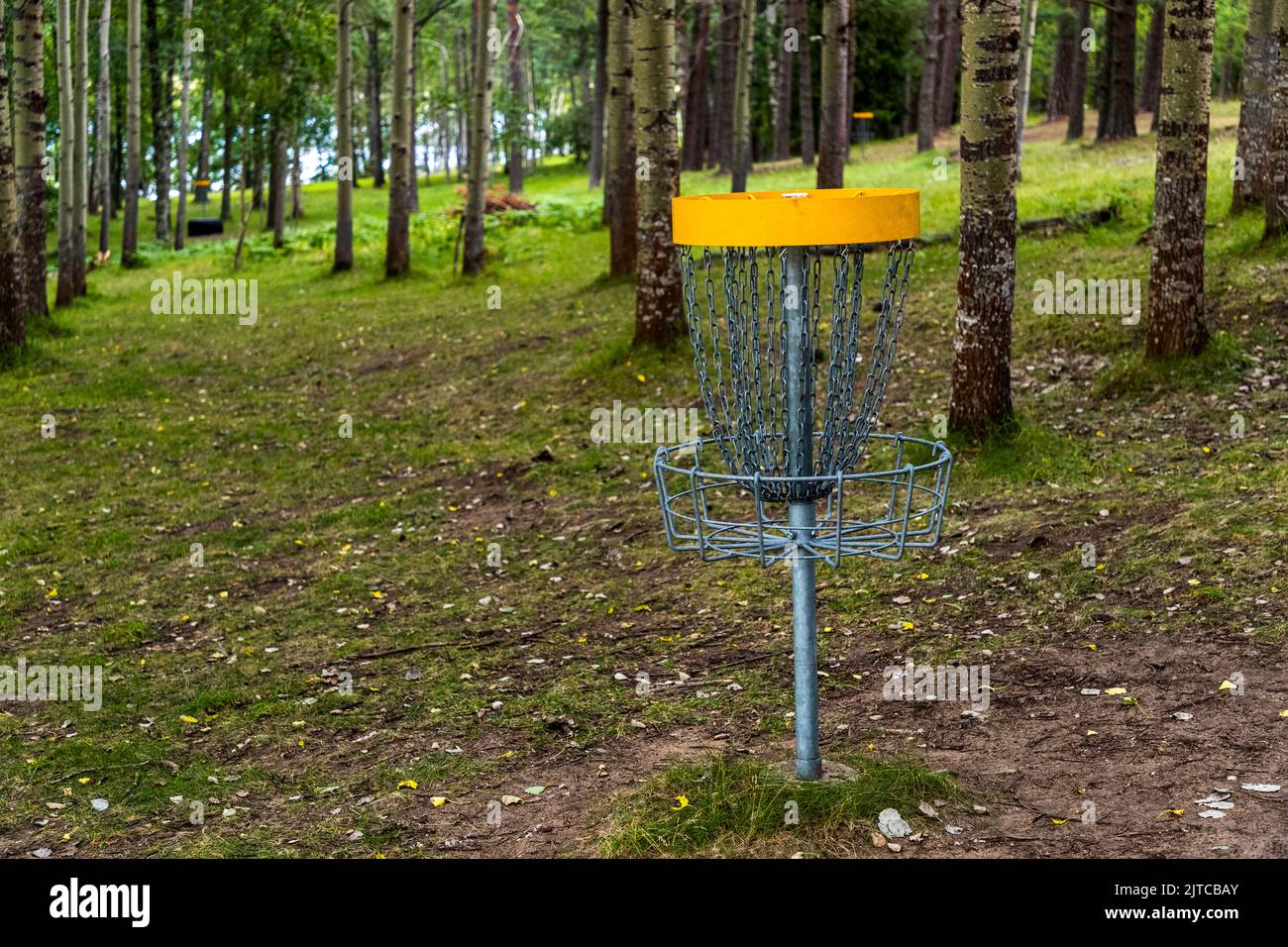 Frisbee Golf im Wald bei Örebro kommun, Schweden Stockfoto