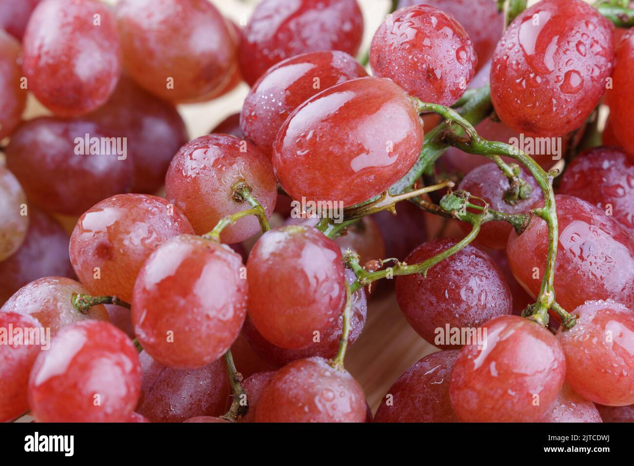 Nahaufnahme von köstlichen Bio-Trauben ein gesunder Snack Stockfoto