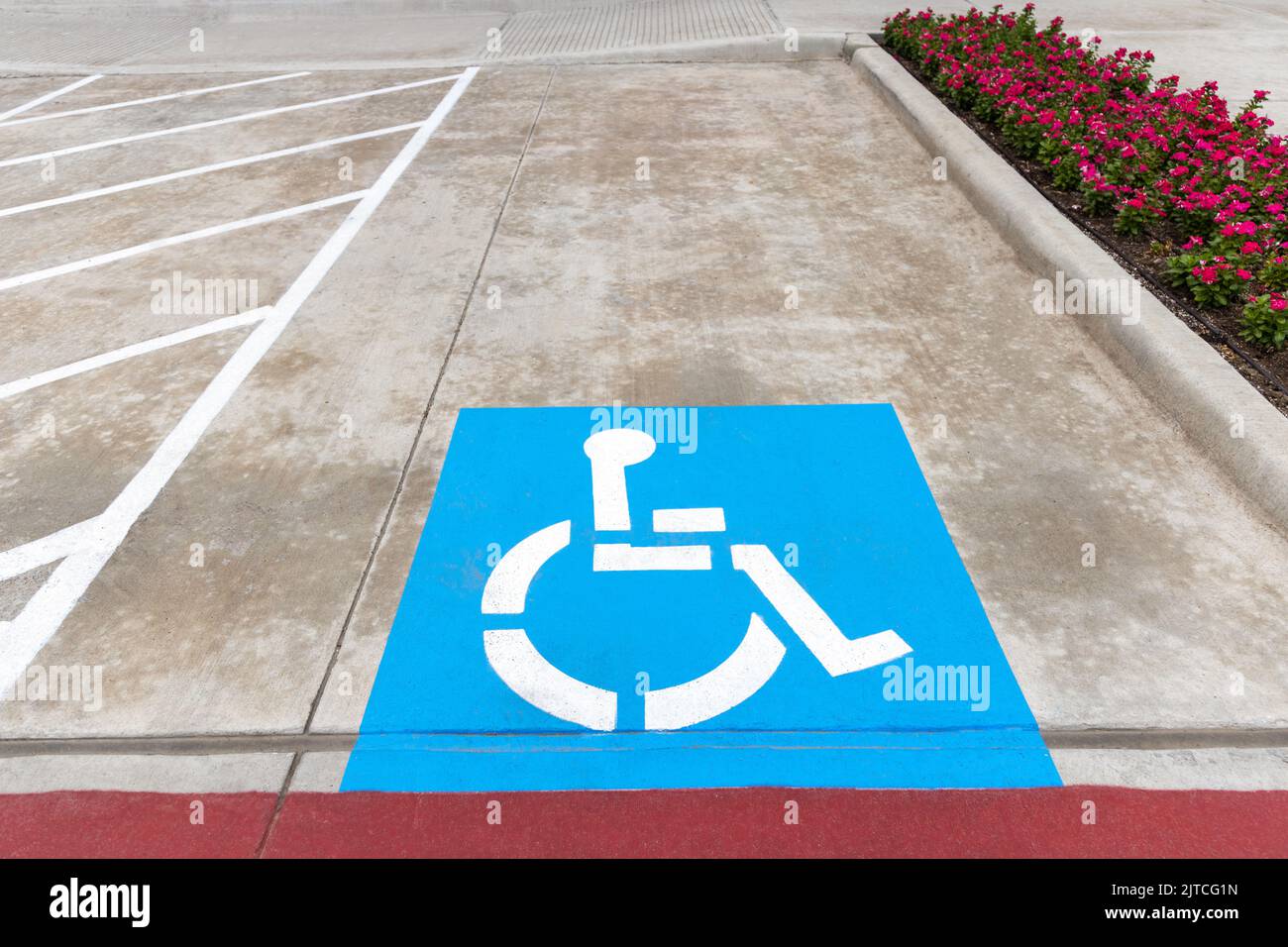 Blaues Schild, Behindertenparkplätze, auf der Asphaltstraße mit weißen Straßenmarkierungen und Blumen an der Seite Stockfoto