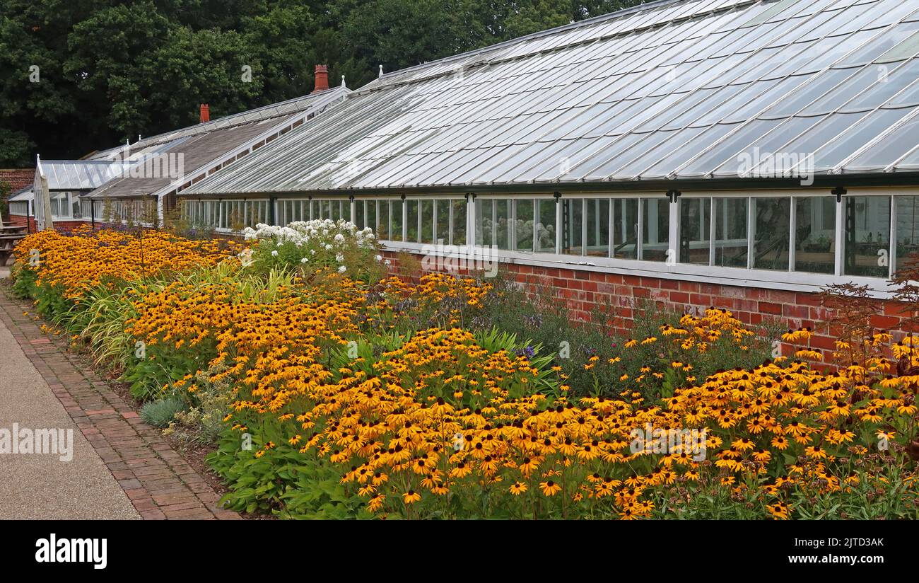 Gewächshäuser und Blumenbeete, Grappenhall Walled Garden, Grappenhall Heys, Warrington, Cheshire, England, Großbritannien Stockfoto