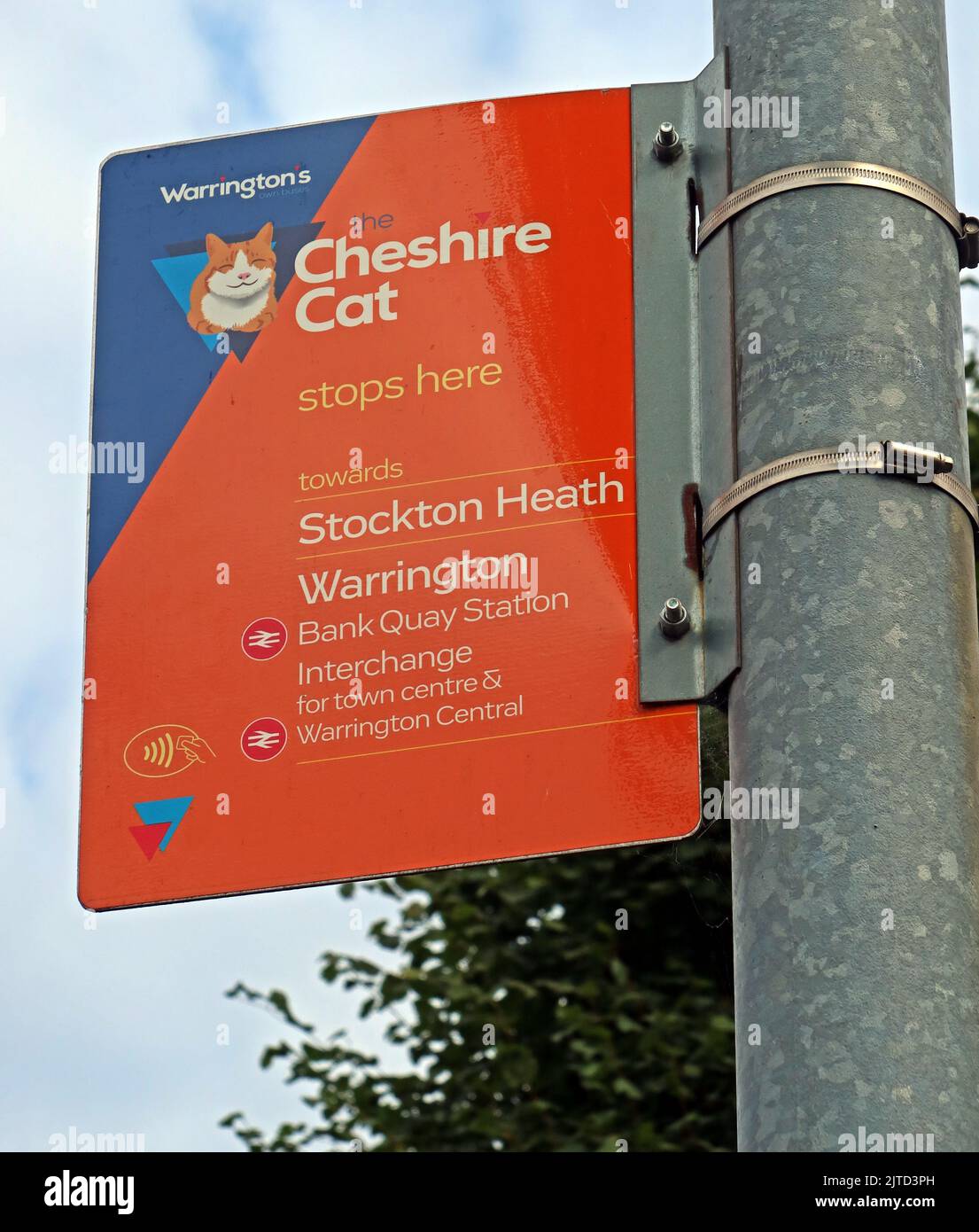 Warringtons eigene Busse, Bushaltestelle für den Cheshire Cat Bus Service, Richtung Stockton Heath & Bank Quay, Cheshire, England, UK, WA4 Stockfoto