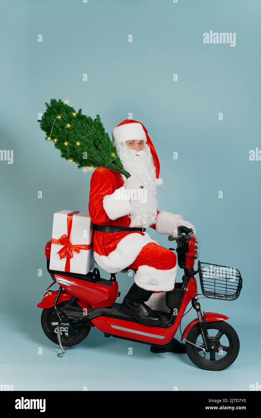 Der weihnachtsmann hält auf einem roten elektrischen Moped einen künstlichen Weihnachtsbaum mit brennender Girlande auf einem blau isolierten Hintergrund Stockfoto
