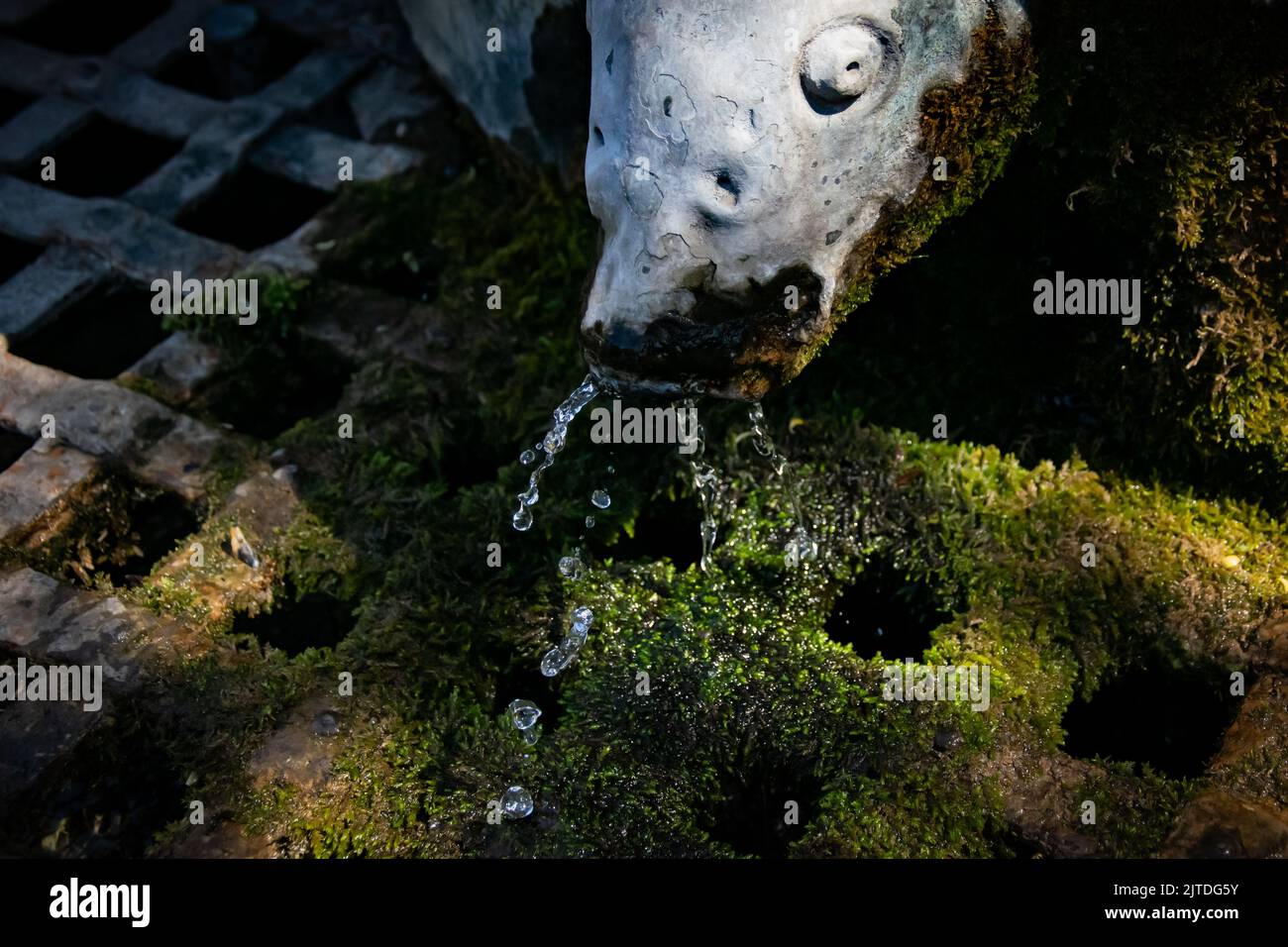 Wasserfontanauslauf in Form von Fischen Stockfoto