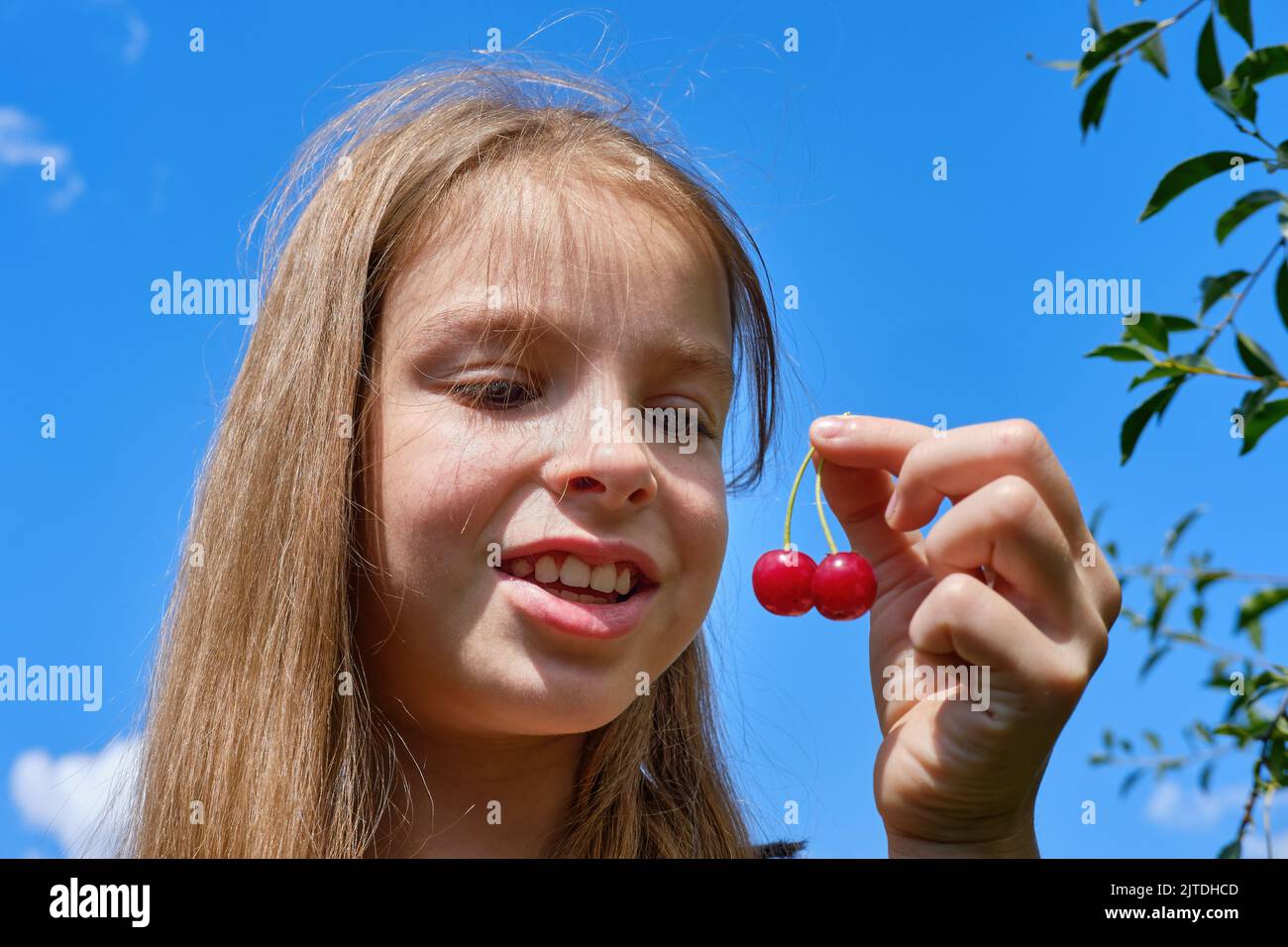 Ein lächelndes, positives Teenager-Mädchen im Garten hält eine reife Kirsche in der Hand und isst sie gegen den blauen Himmel. Kirschernte. Stockfoto