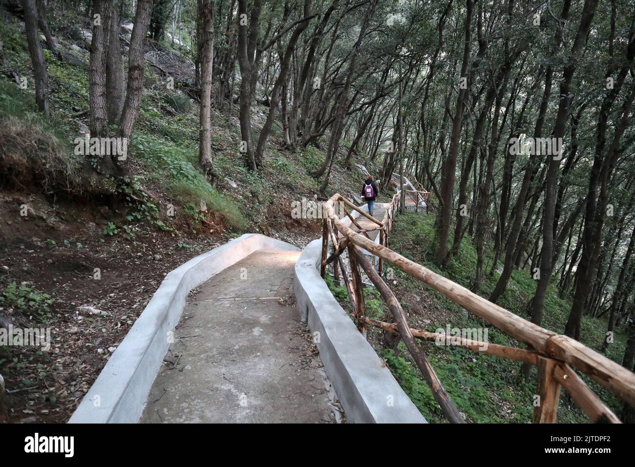 Capri - Sentiero nel bosco di Pizzolungo Stockfoto