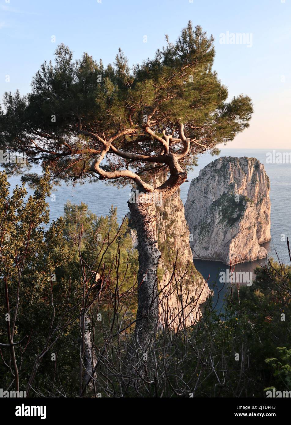 Capri - Scorcio dei faraglioni dal sentiero di Via Tragara al Tramonto Stockfoto
