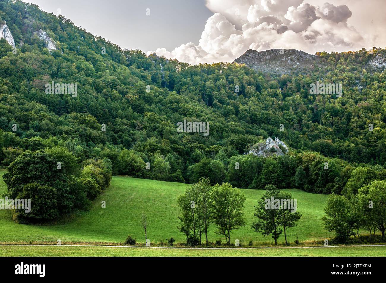 Berg ländliche Landschaft mit Wald und Felsen. Wunderschöne große weiße Wolke. Straße ins Tal im Vordergrund. Vrsatec, Slowakei Stockfoto