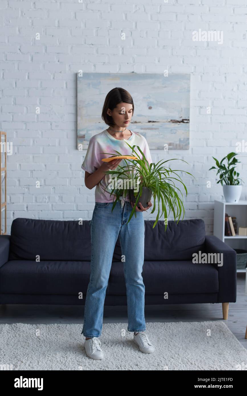 Brünette Frau hält Lappen und Pflanzen, während sie zu Hause steht Stockfoto