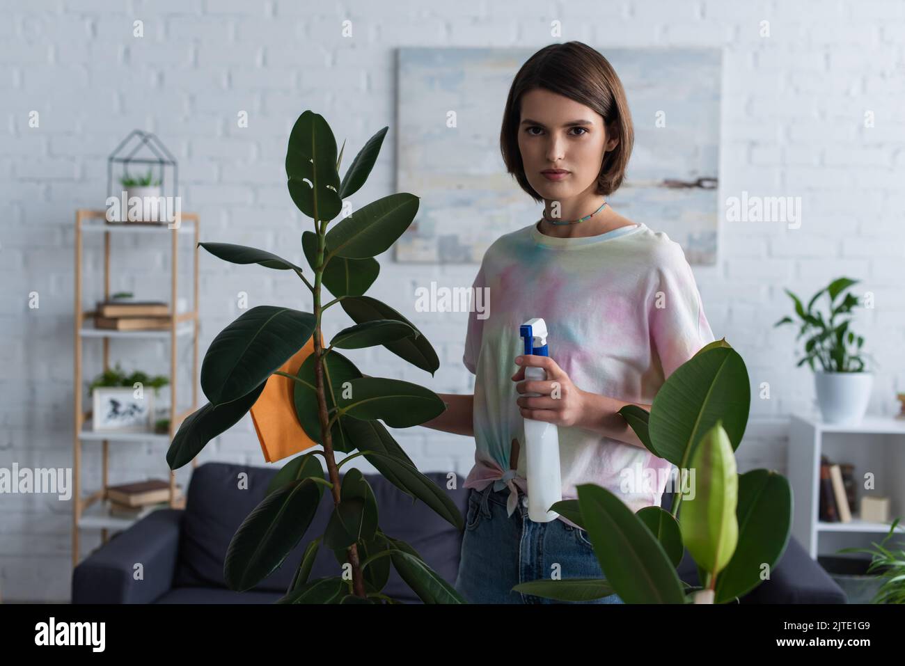 Brünette Frau, die die Kamera anschaut, während sie Waschmittel und Lappen in der Nähe der Pflanze zu Hause hält Stockfoto