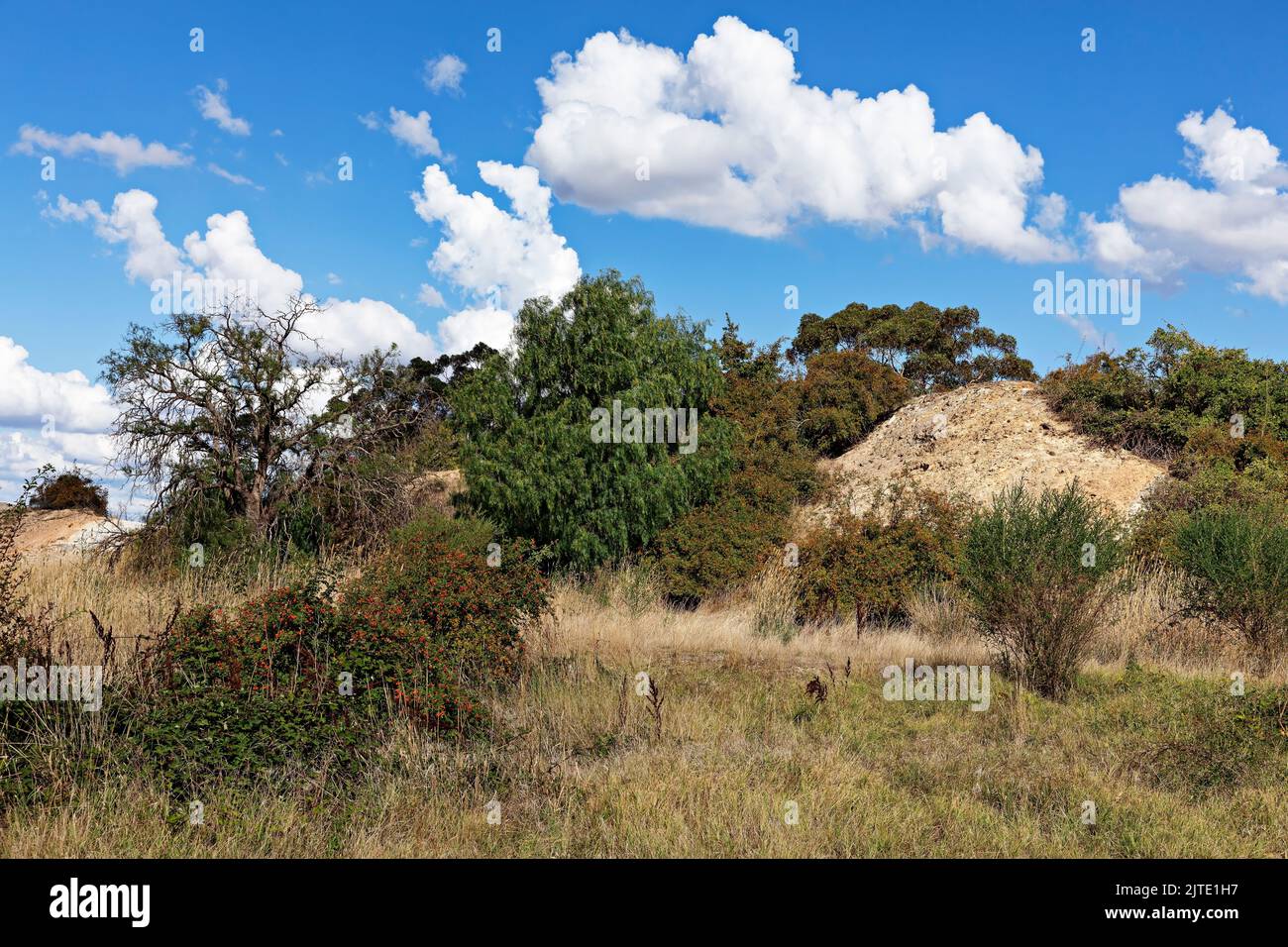 Clunes Australien / die ehemalige Goldmine Lothair in Clunes in Victoria Australien.die Entdeckung von Gold im Jahr 1850 markierte den Beginn des reichen Goldes rus Stockfoto