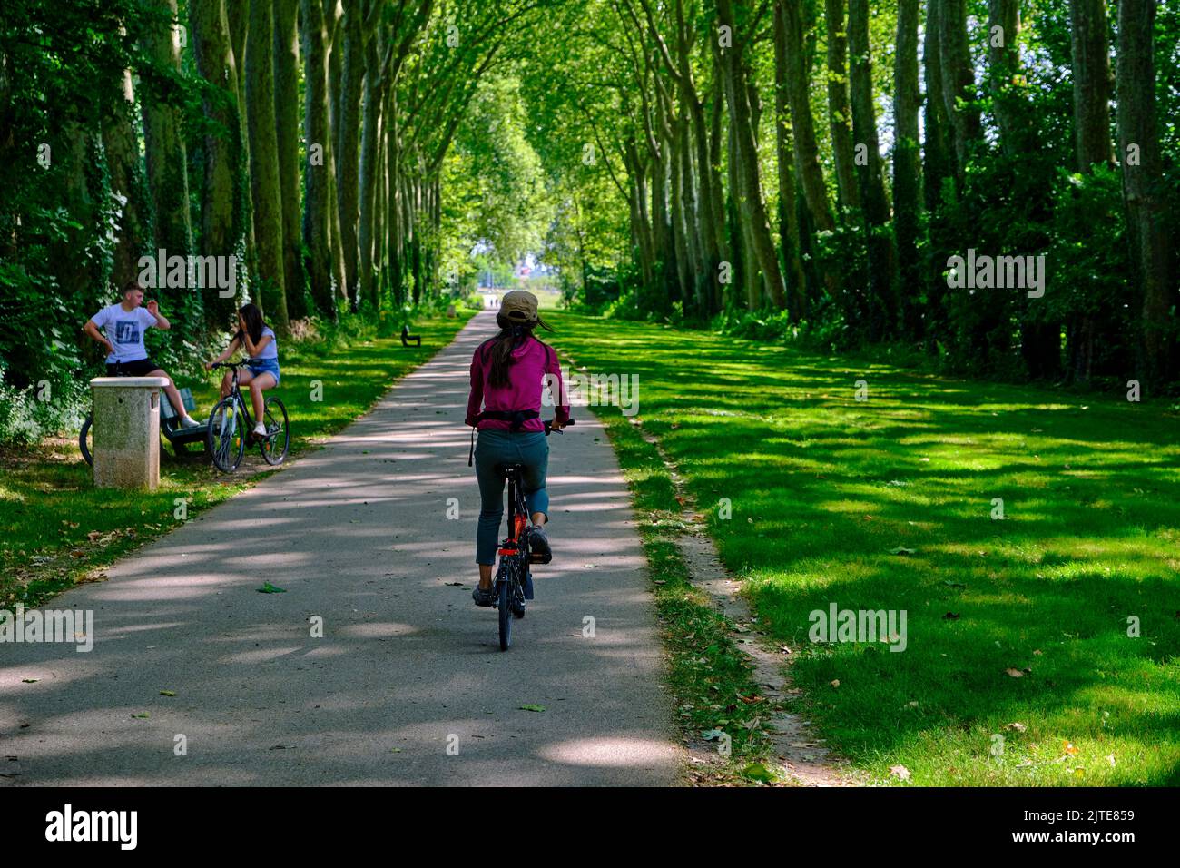 Frankreich, Cher (18), Bourges, mit dem Fahrrad entlang des Canal de Berry und der Trouée verte Stockfoto