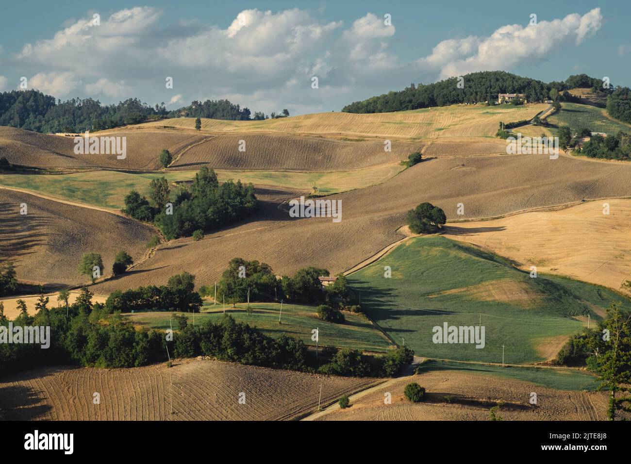 Kultivierte, geerntete und gepflügte Felder auf den Hügeln der Provinz Bologna. Loiano, Bologna, Emilia und Romagna, Italien. Stockfoto