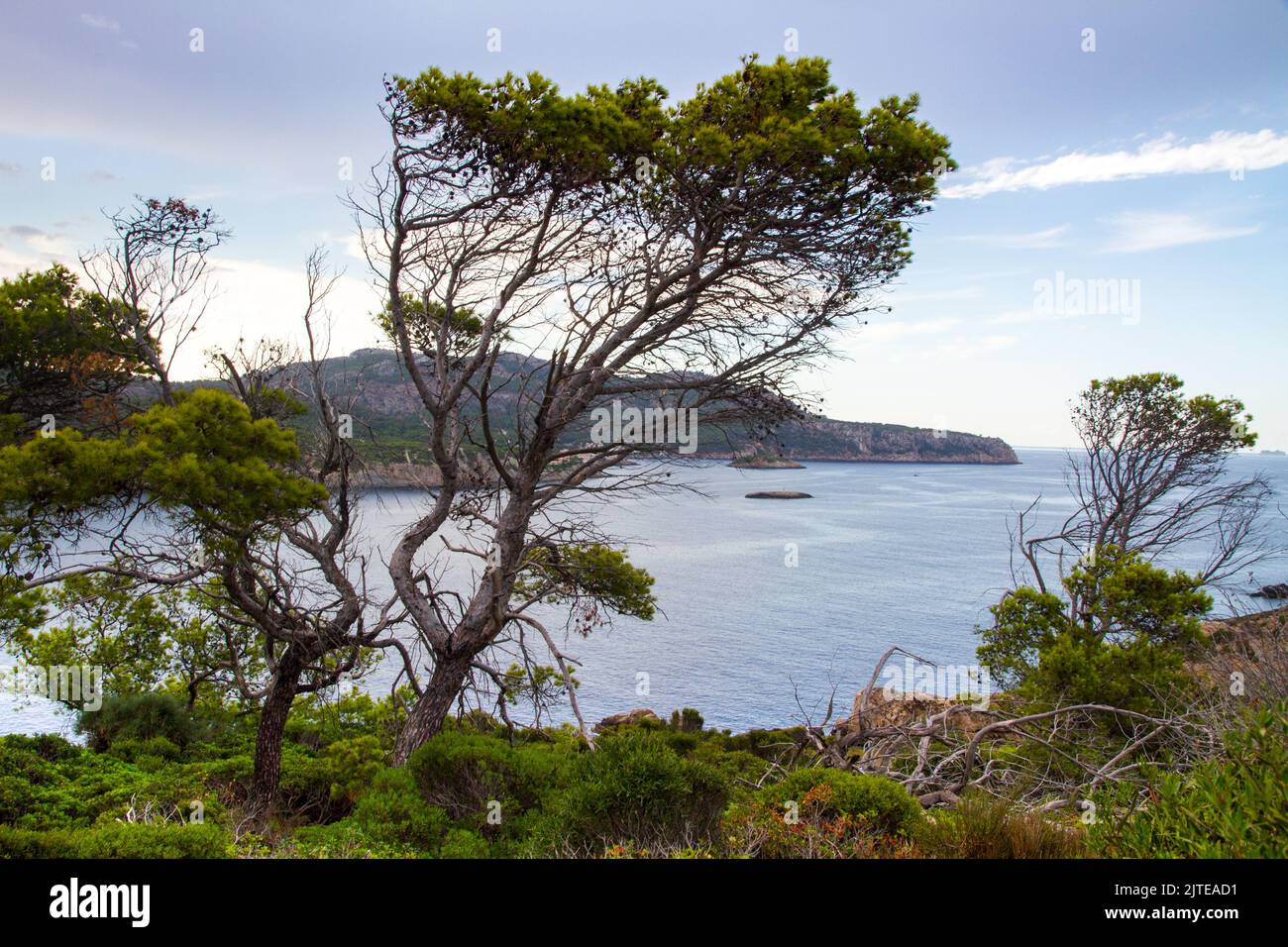 Blick von der Insel Sa-Makarra nach Sant Elm, Mallorca Spanien Naturschutzgebiet Mittelmeer Stockfoto
