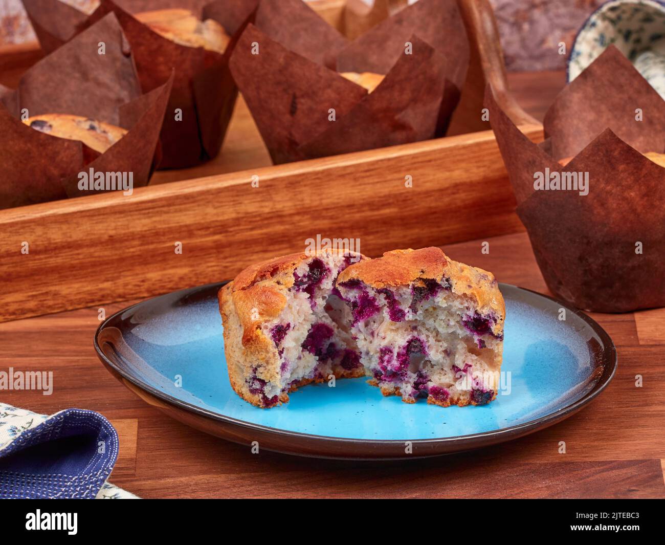 Ricotta und Blaubeermuffin auf einem blauen Teller Stockfoto