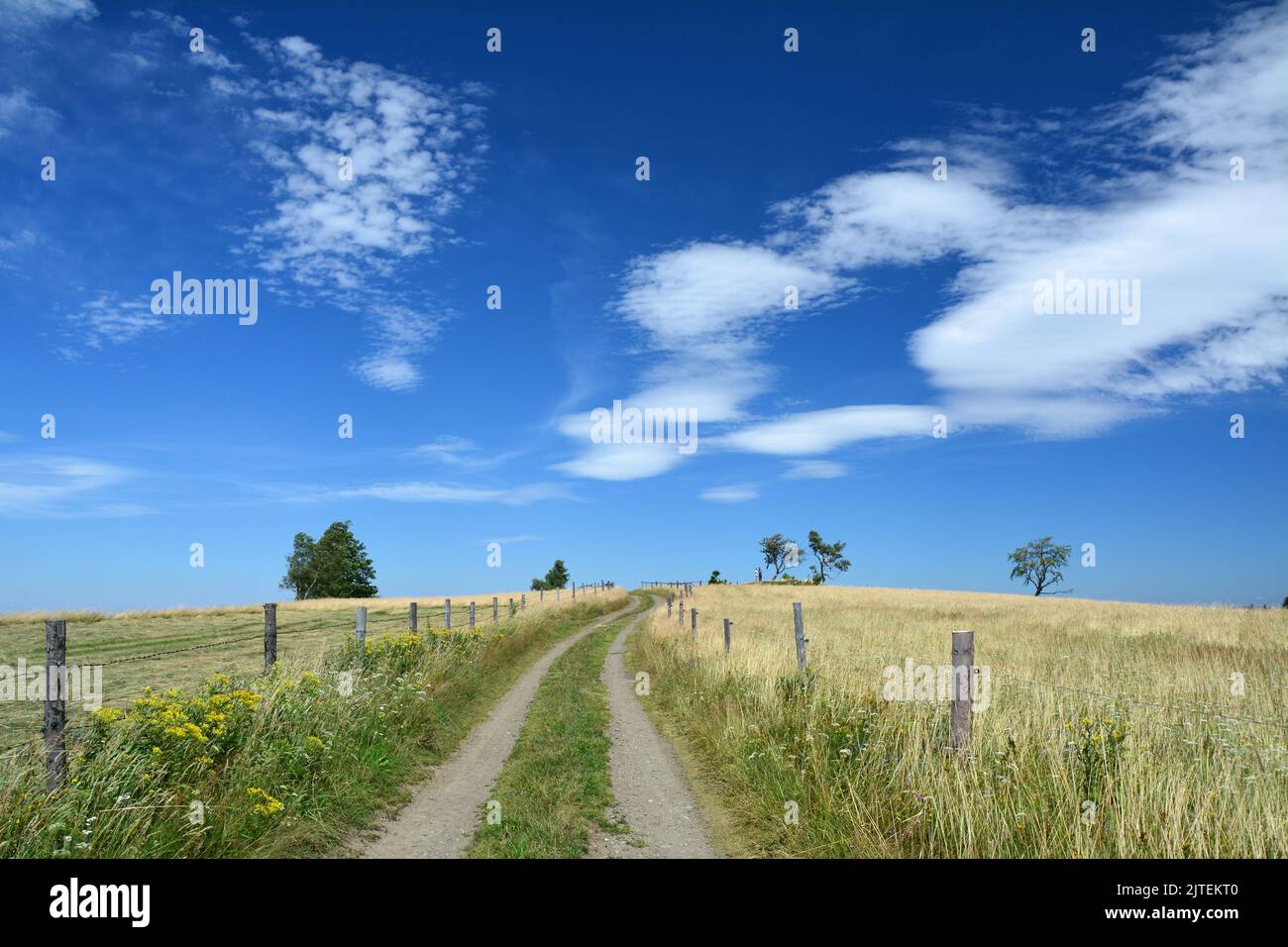 Polen, Land in den Bergen. Idyllische malerische Wiese, Feldweg und Himmel Sommer Blick. Polnische Dorflandschaft. Stockfoto