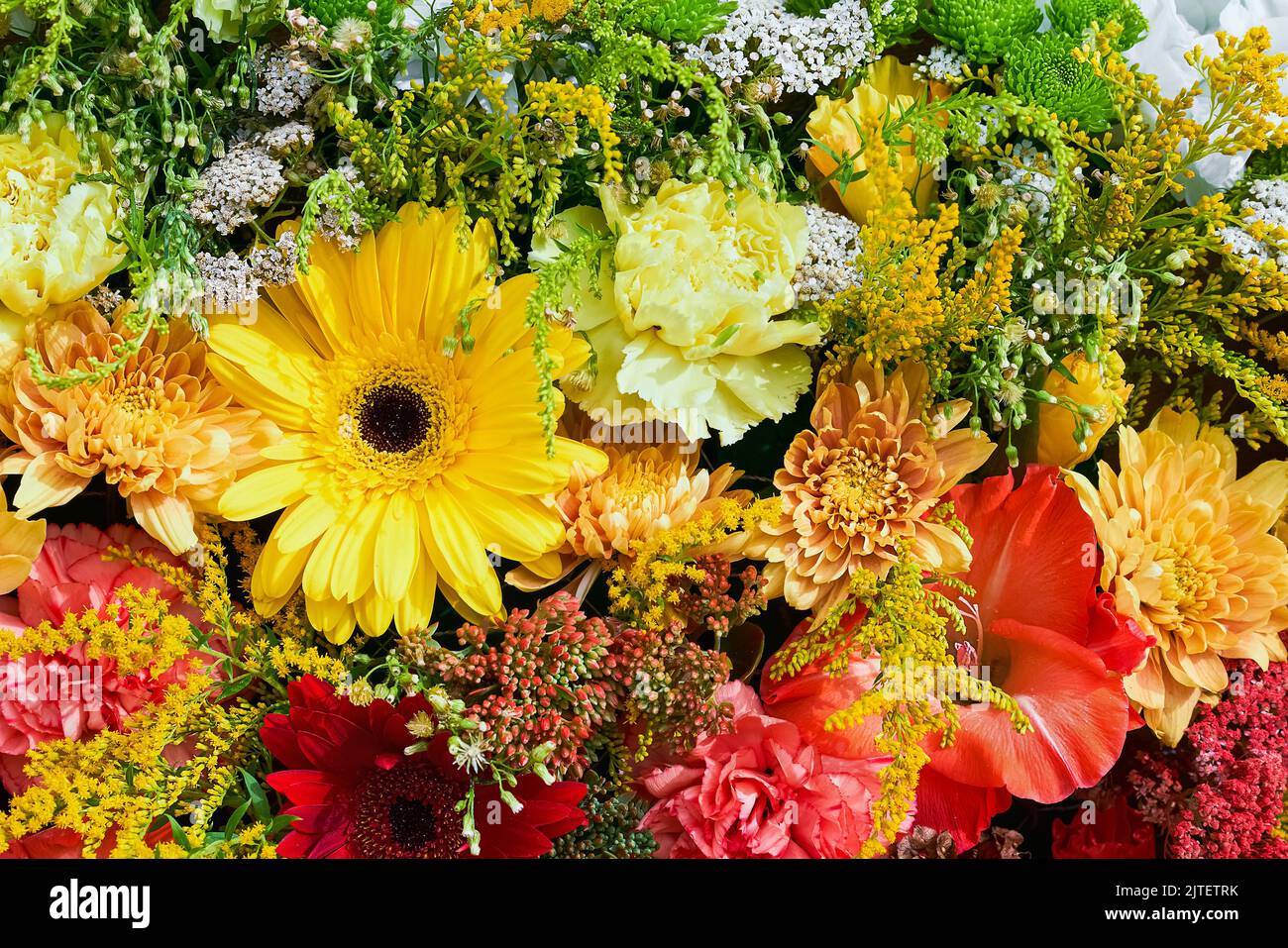 Bunte Blumen. Draufsicht, Grußkarte. Selektiver Fokus Stockfoto