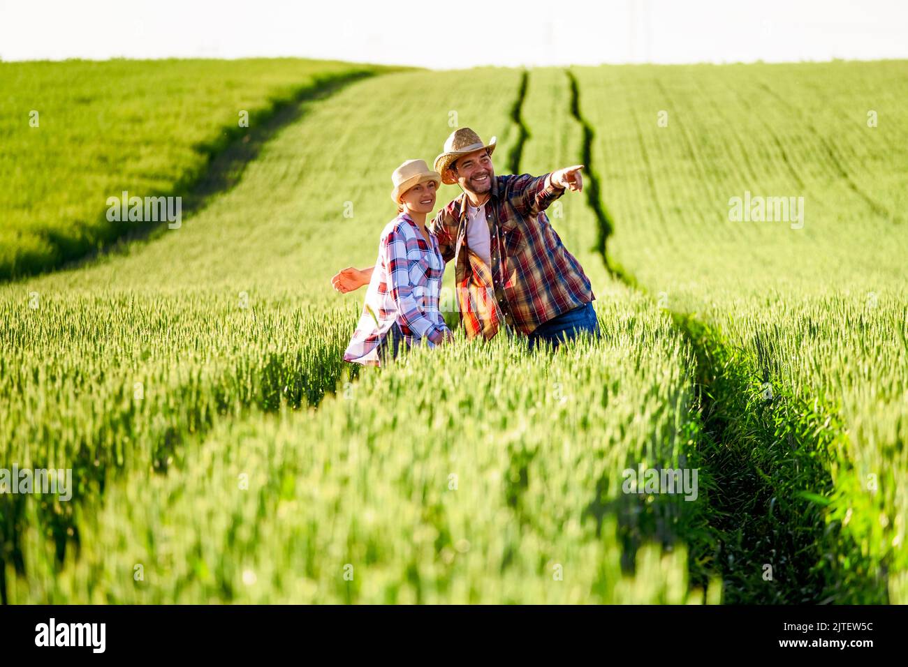 Mann und Frau arbeiten zusammen. Sie bauen Weizen an. Sie sind glücklich wegen der guten Jahreszeit. Stockfoto