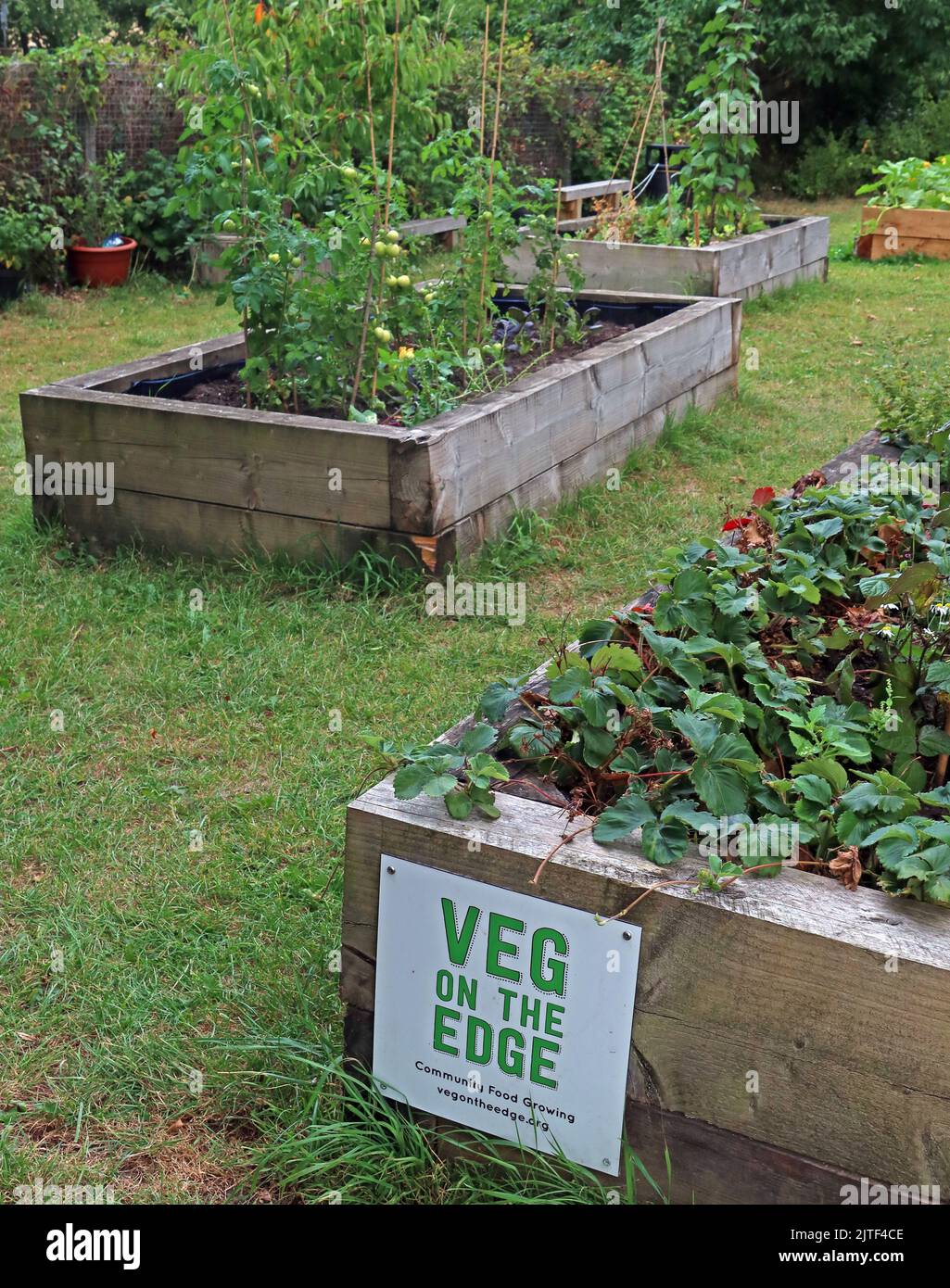 Veg on the Edge, Gemeinschaftsnahrungsmittel, die in Saltaire, Shipley, Bradford, West Yorkshire, England, Großbritannien, BD18 3HU Stockfoto