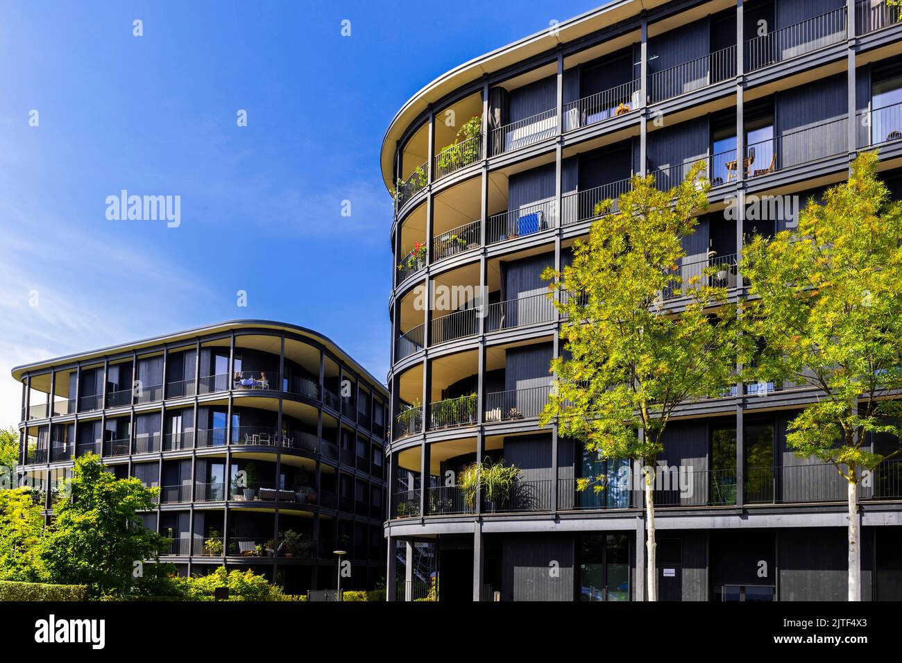 Moderne Wohngebäude Riva, Rheinpromenade im Stadtzentrum von Basel, Schweiz. Stockfoto