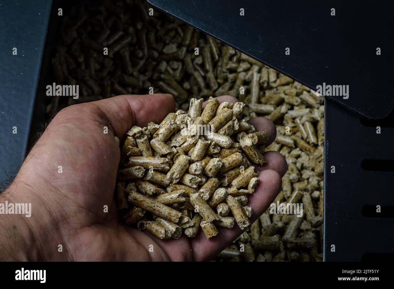 Hand halten Holzpellets gehen in den Ofen-Fach, alternative Heizenergie-Lösung Stockfoto