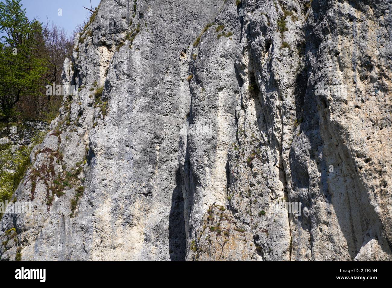 Donaudurchbruch von Kelheim zum Kloster Weltenburg mit Felsen und der Strömung der Donau Stockfoto