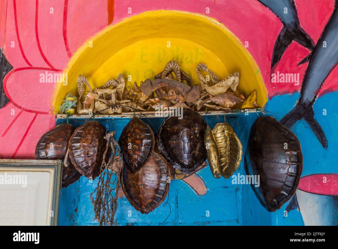 BERBERA, SOMALILAND - 13. APRIL 2019: Fischkiefer und Schildkrötenpanzer in einem Fischgeschäft in Berbera, Somaliland Stockfoto