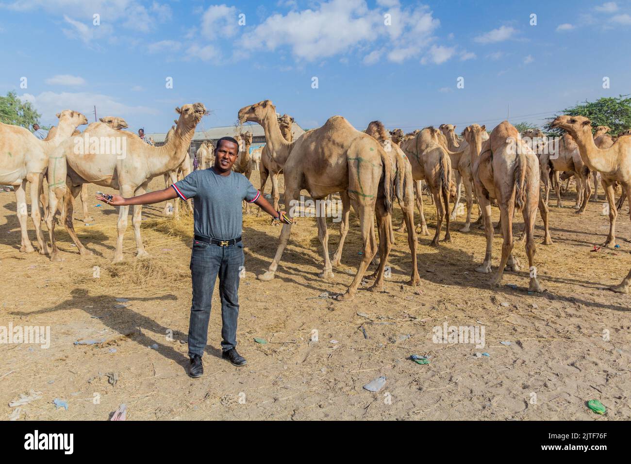 HARGEISA, SOMALILAND - 15. APRIL 2019: Einheimischer auf dem Kamelmarkt in Hargeisa, der Hauptstadt von Somaliland Stockfoto
