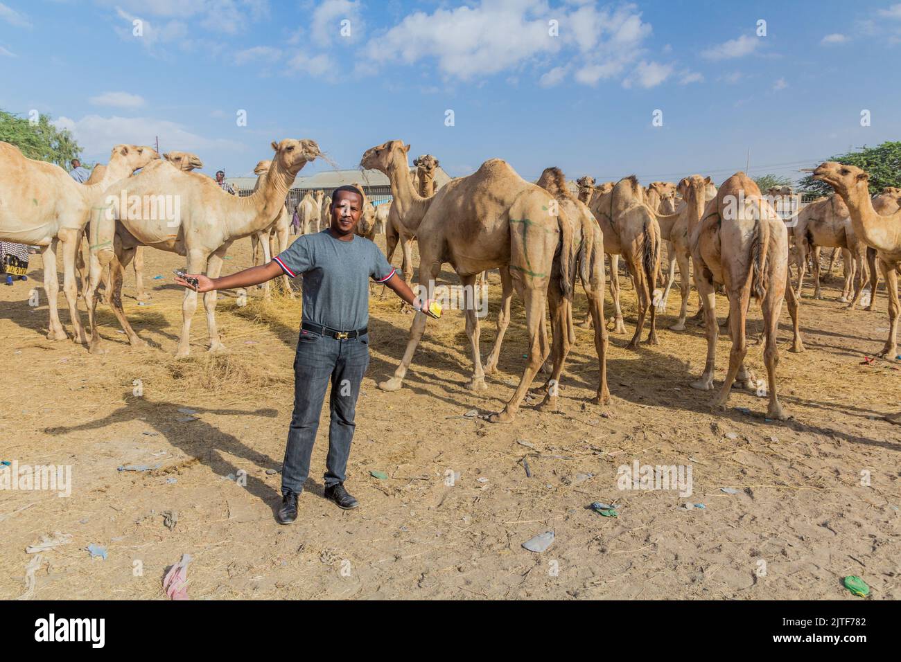 HARGEISA, SOMALILAND - 15. APRIL 2019: Einheimischer auf dem Kamelmarkt in Hargeisa, der Hauptstadt von Somaliland Stockfoto