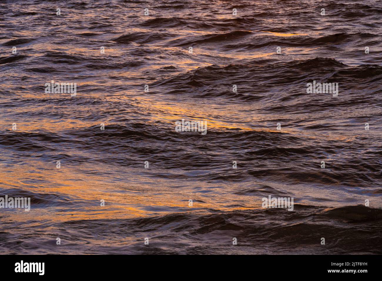 Nahaufnahme der Meereswellen bei Sonnenaufgang Stockfoto