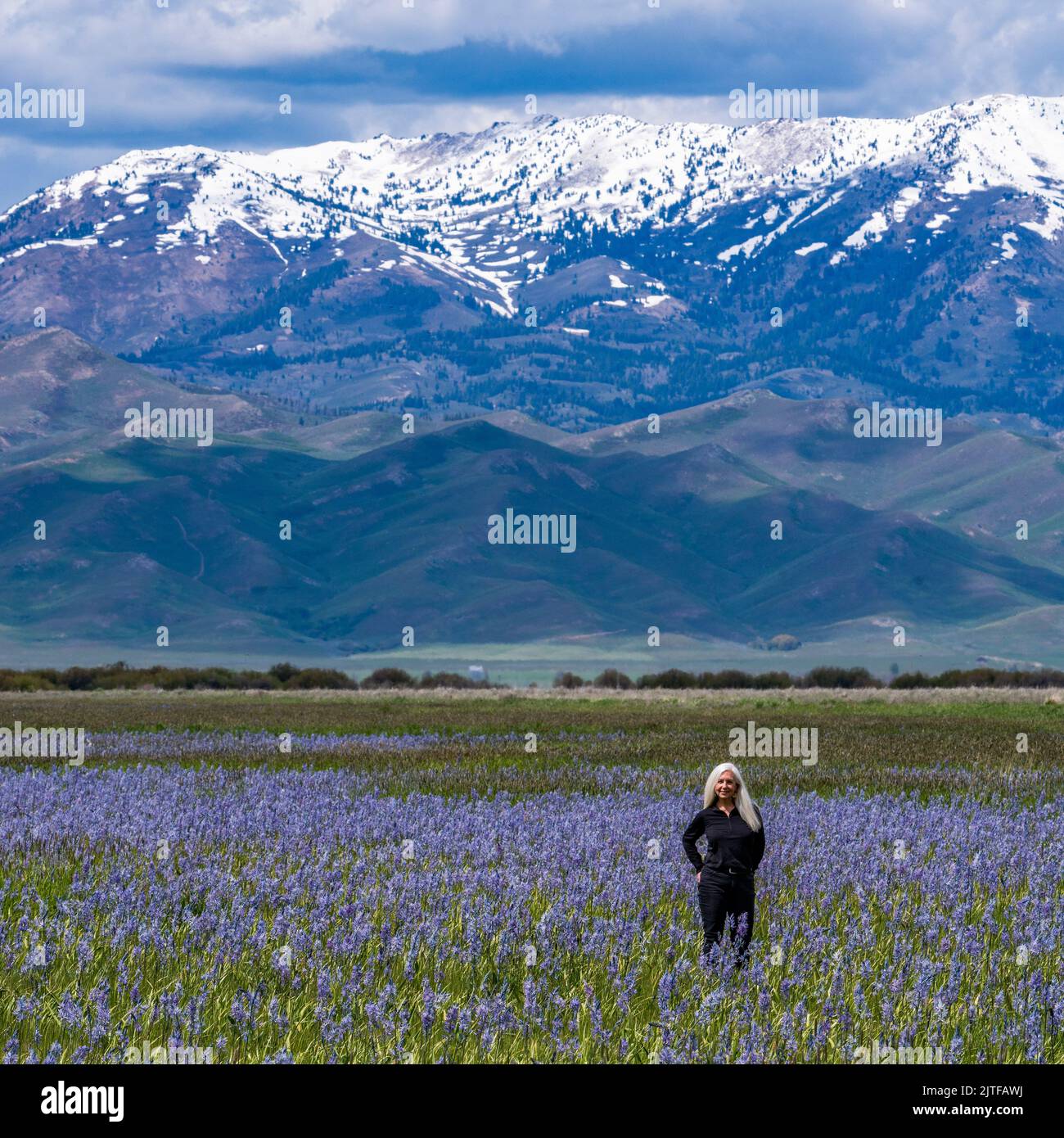 USA, Idaho, Fairfield, Seniorin, die im Kamas-Feld mit Soldier Mountain im Hintergrund steht Stockfoto