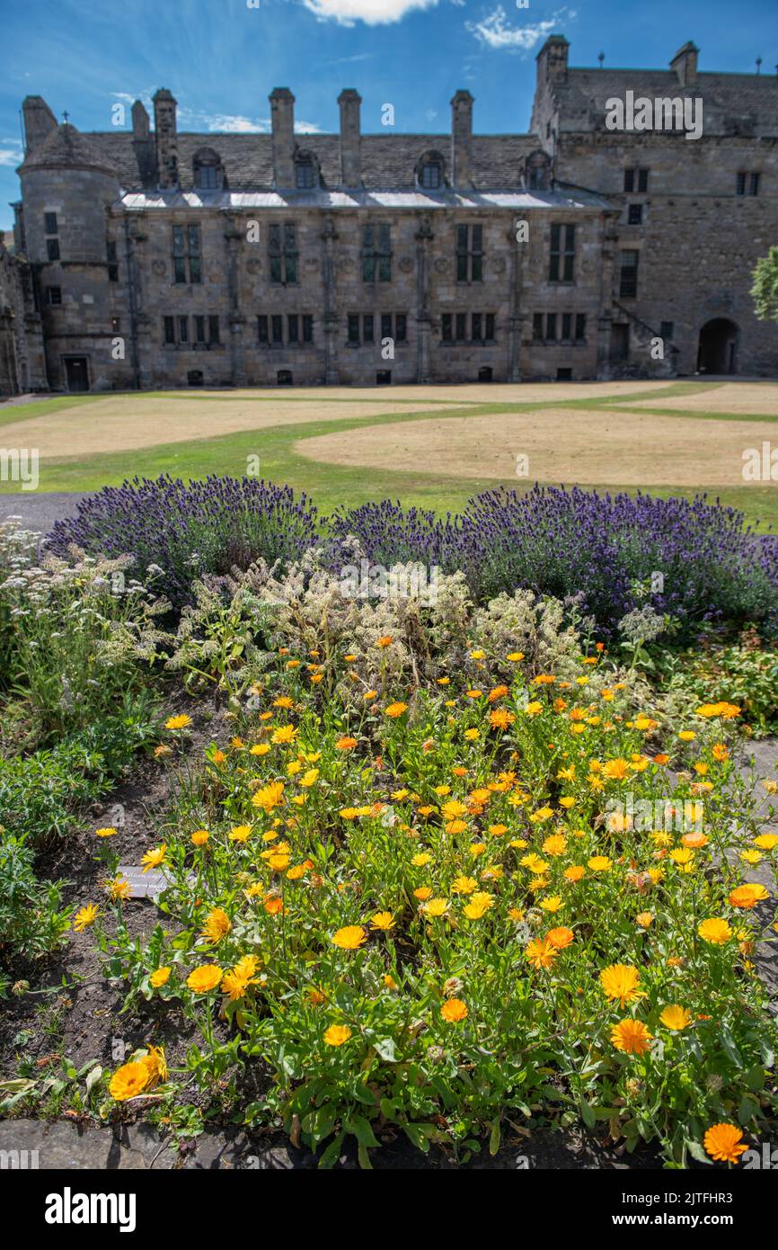 Falkland Palace Garden, Falkland, Fife, Schottland, Großbritannien Stockfoto