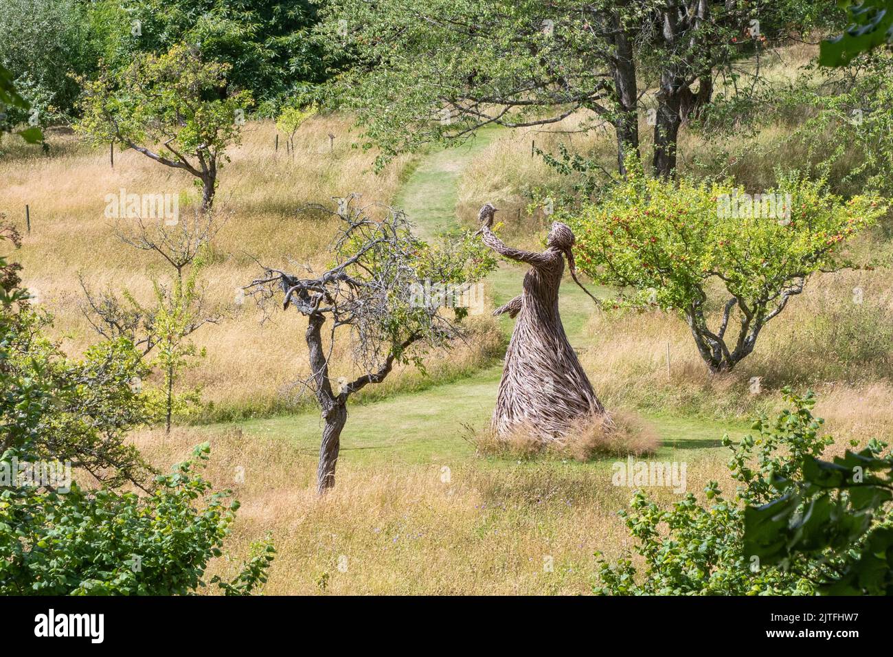 Weidenskulptur, Falkland Palace Garden, Falkland, Fife, Schottland, VEREINIGTES KÖNIGREICH Stockfoto