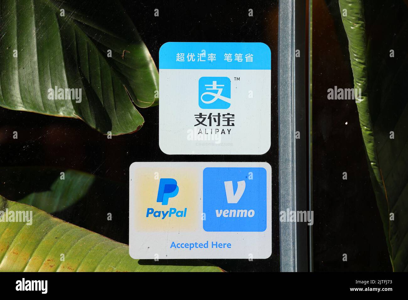 Alipay, Venmo und PayPal-Aufkleber für mobile Zahlungen an einer Tür zu einem Restaurant. Es handelt sich um Apps für digitale Geldbörsen, Geldtransfers und Finanzdienstleistungen. Stockfoto