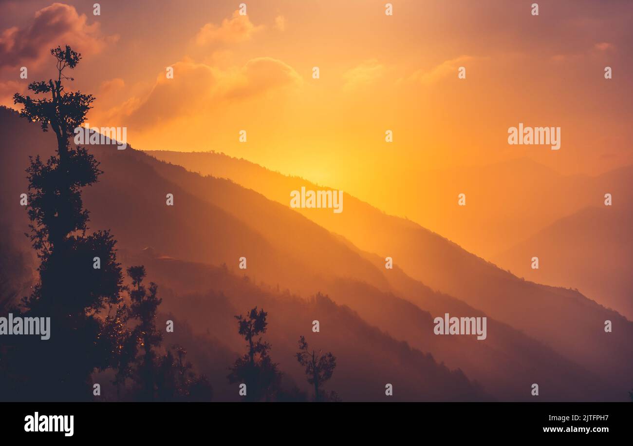 Leuchtend orangefarbener Sonnenuntergang über der nebligen Bergkette. Waldbaum-Silhuette. Atemberaubende wilde Natur bei Sonnenaufgang. Erstaunliche natürliche Sommerlandschaft. Kreatives Bild für Design Stockfoto