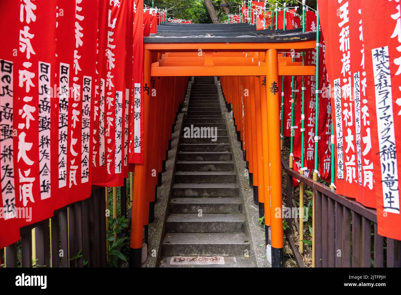 Ein lebhafter Tunnel aus roten Torii-Toren säumen die Steintreppen, die zum Hie Jinja-Schrein in Nagatacho, Chiyoda, Tokio, Japan, führen. Der schintoistische Schrein ist einer der drei großen Schreine Tokyos. Stockfoto