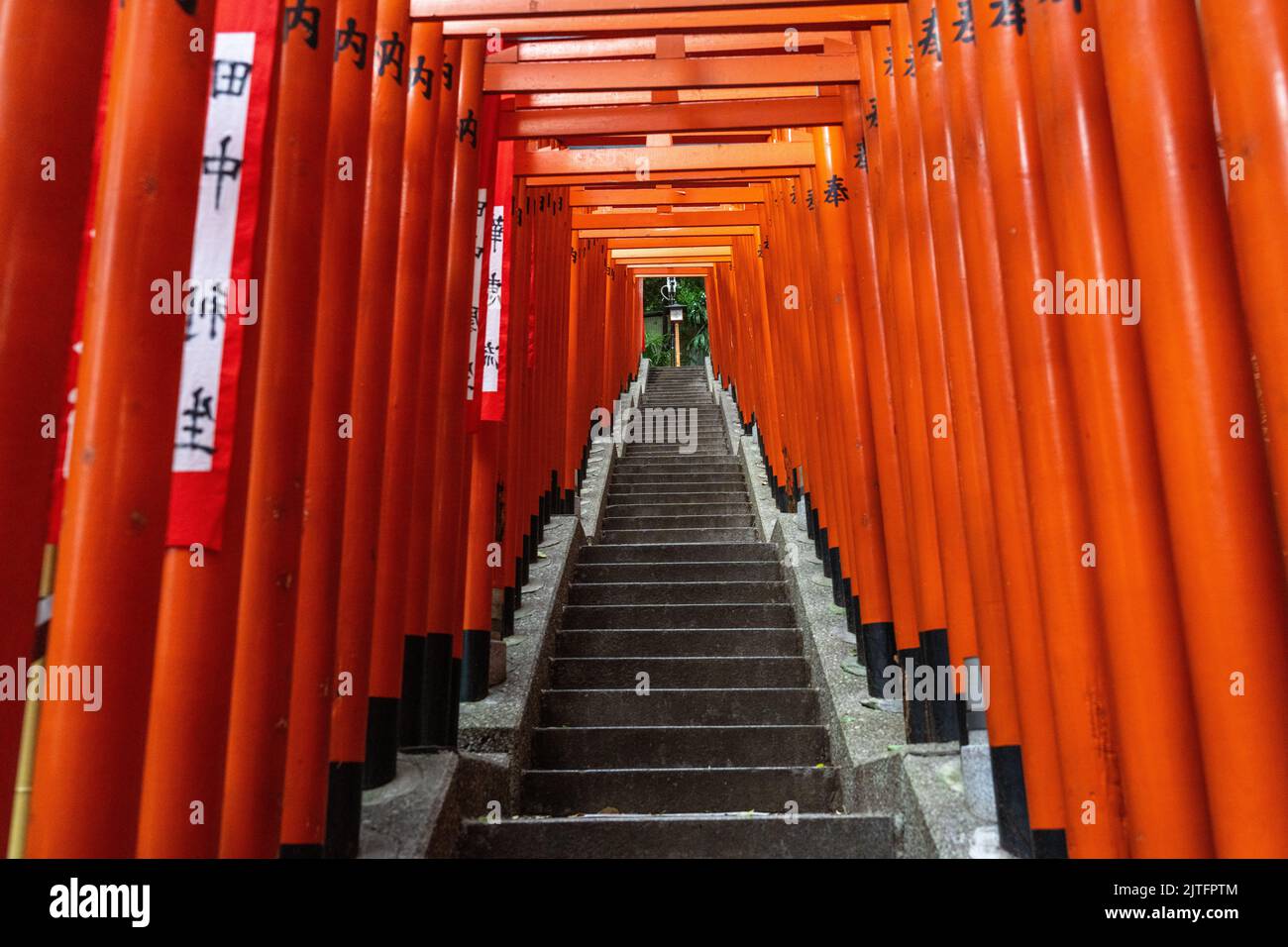 Ein lebhafter Tunnel aus roten Torii-Toren säumen die Steintreppen, die zum Hie Jinja-Schrein in Nagatacho, Chiyoda, Tokio, Japan, führen. Der schintoistische Schrein ist einer der drei großen Schreine Tokyos. Stockfoto