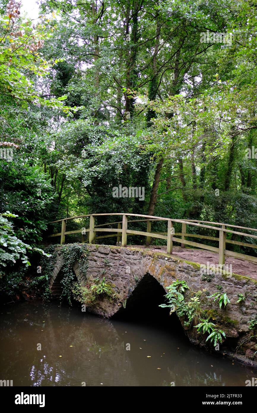 Alte Crickback-Brücke in Chew Magna, Somerset. Stockfoto