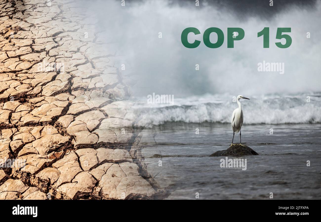 COP15-Konzept. Artenvielfalt, Wildtiere, gefährdete Lebensräume... Stockfoto