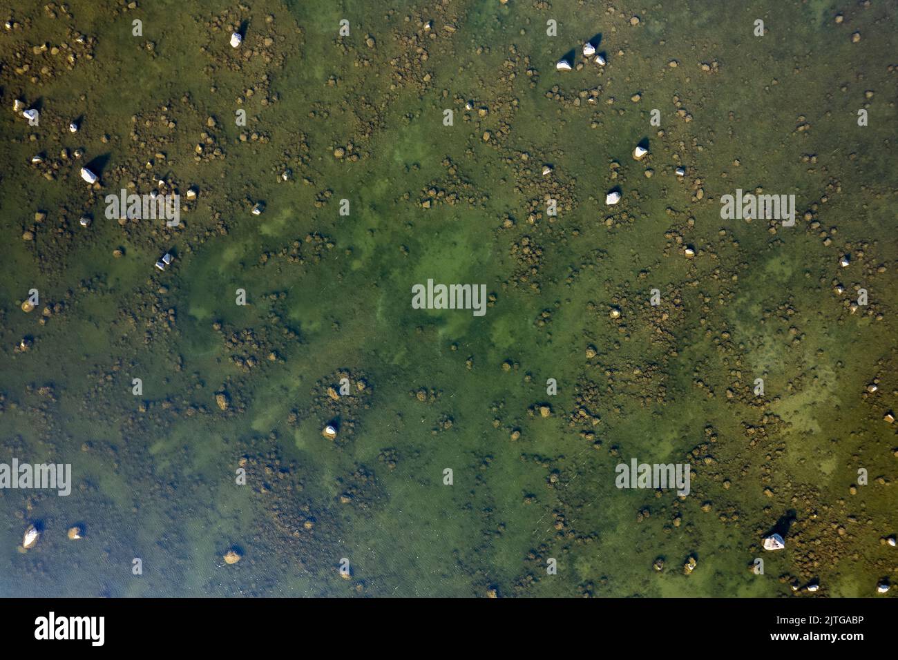 Hintergrund-Muster für Strand und Wasserlinie Stockfoto