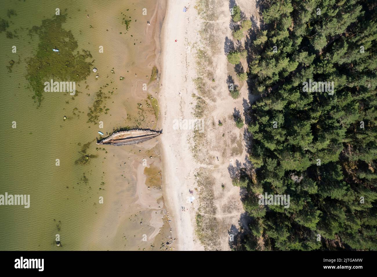 Ostseeküste von oben in Estland Stockfoto