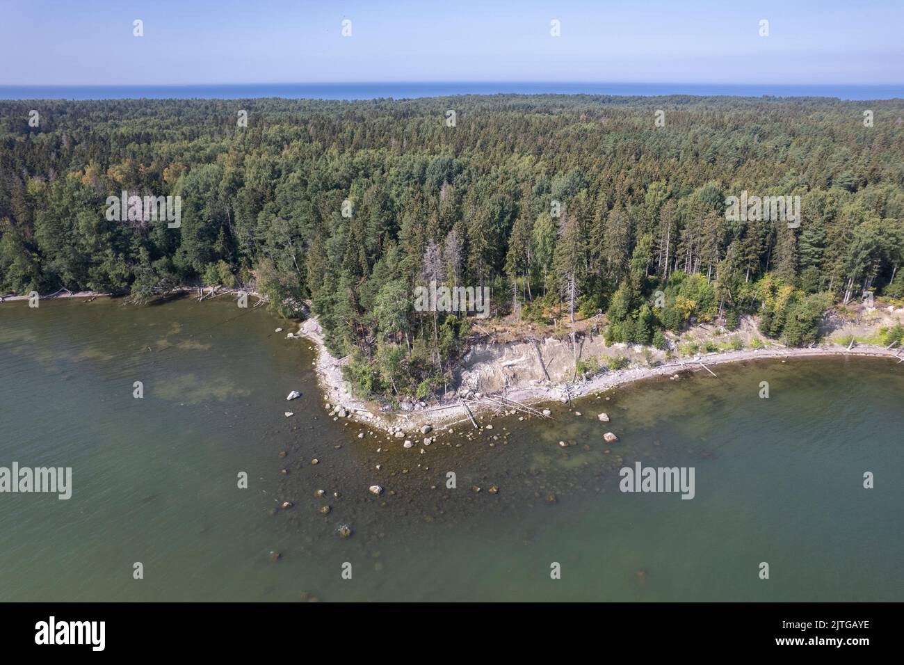 Landschaft an der estnischen Küste Stockfoto