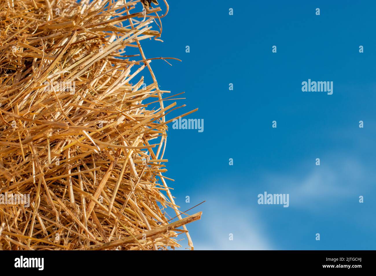 Gelbblauer Hintergrund. Stroh und Himmel. Stockfoto