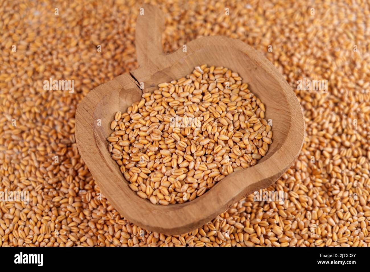 Vollkorngetreide in rustikaler Holzschüssel in einem Stapel roher Samen. Makroaufnahme. Landwirtschaftliche Fruchtbarkeit und Öko-gesunde Ernährung Konzept Stockfoto