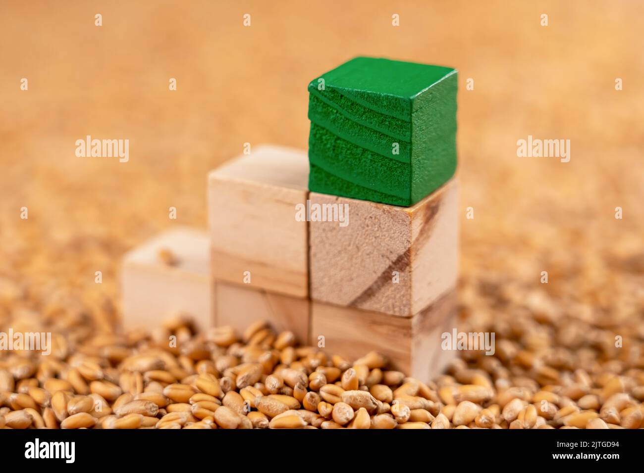 Eine Pyramide aus Spielzeugwürfeln in einem Stapel Vollkornweizenkerne. Konzept für das Wachstum von Investitionen in Landwirtschaft und grüne Wirtschaft. Idee der globalen Nahrungsmittelkrise Stockfoto